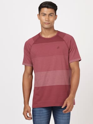 Super Combed Cotton Rich Striped Round Neck Half Sleeve T-Shirt