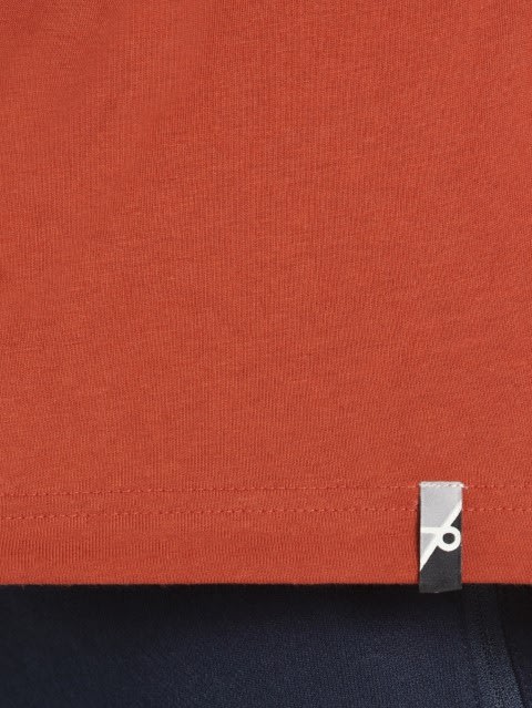 Men's Super Combed Cotton Rich Solid Round Neck Half Sleeve T-Shirt - Cinnabar