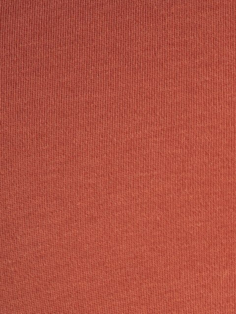 Men's Super Combed Cotton Rich Solid Half Sleeve Polo T-Shirt - Cinnabar