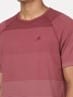 Men's Super Combed Cotton Rich Striped Round Neck Half Sleeve T-Shirt - Burgundy