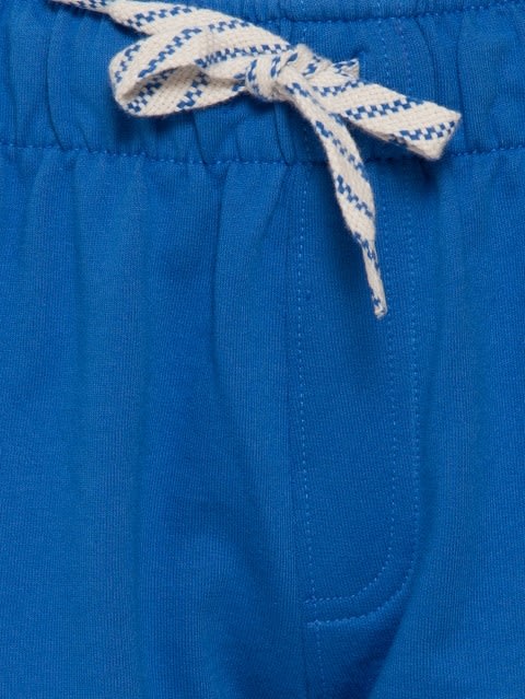 Palace Blue Shorts