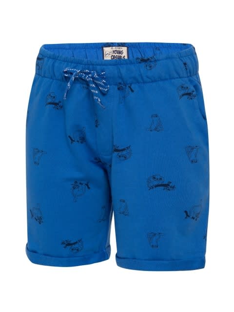 Palace Blue Printed Shorts