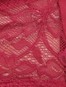 Women's Full Coverage Soft Touch Microfiber Nylon Elastane Stretch Lace Styled Hipster With StayFresh Treatment - Anemone