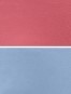 Women's High Coverage Super Combed Cotton Elastane Stretch High Waist Hipster with Ultrasoft Waistband - Rapture Rose & Allure(Pack of 2)